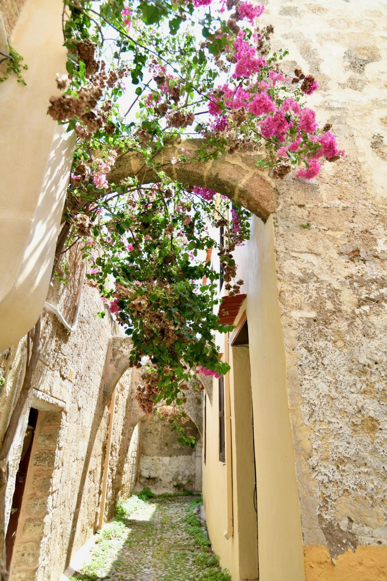 Penelope Garden House Old Town Apartment Rhodes City Exterior foto