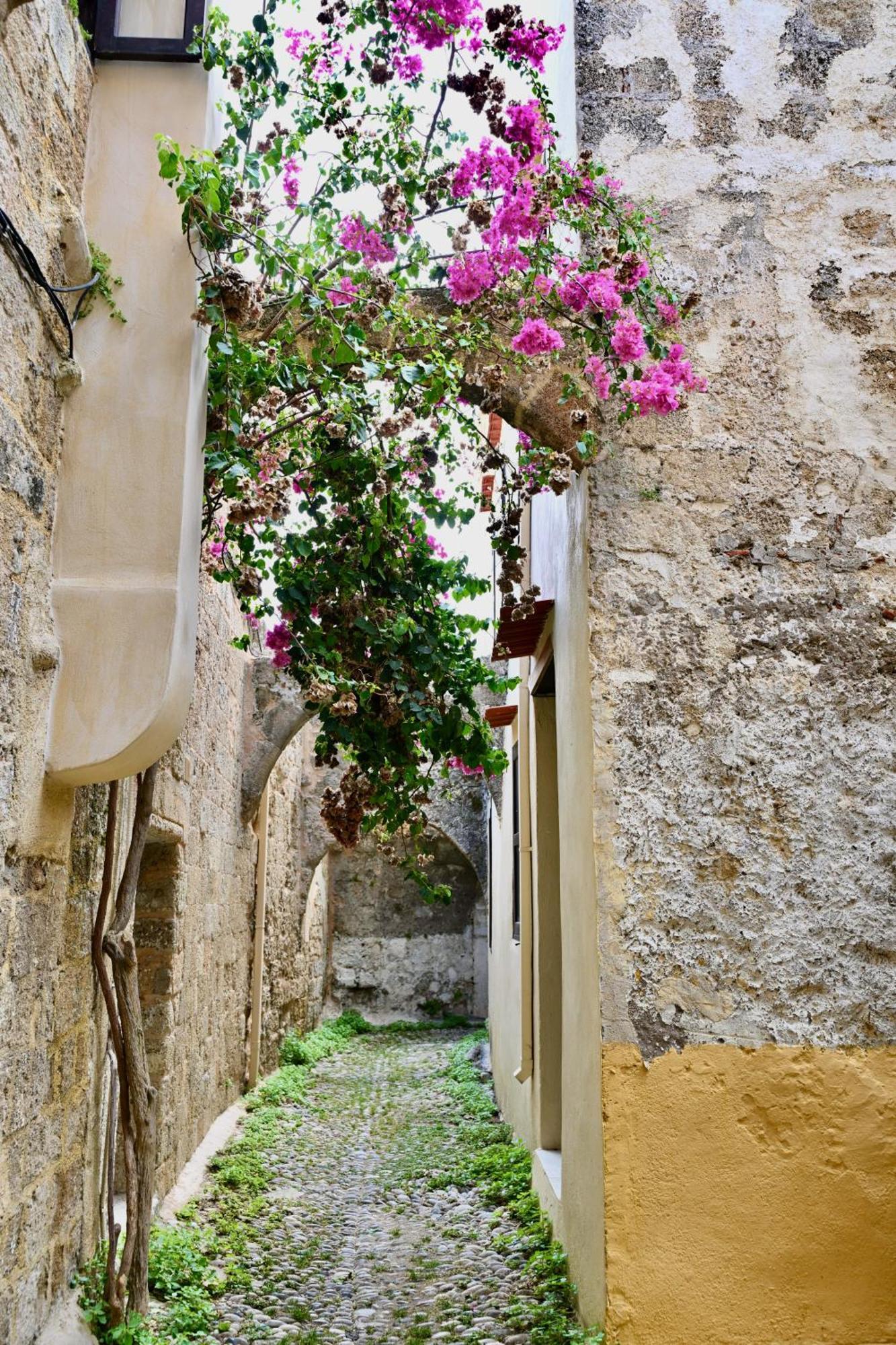 Penelope Garden House Old Town Apartment Rhodes City Exterior foto